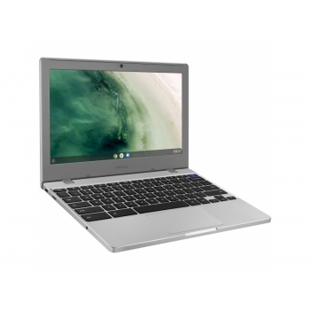 Ноутбуки SAMSUNG CHROMEBOOK PLUS (XE310XBA-K01US)
